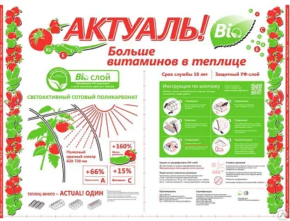 Фото №0 Поликарбонат сотовый 2100*6000 АКТУАЛЬ!Bio