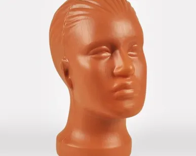 фото Голова женская Г-201