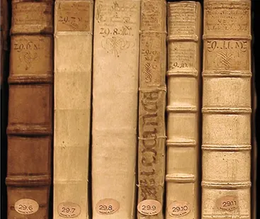 фото Керамическая плитка Peronda "Books/P" 44х44 гранит 0.97 м.кв.