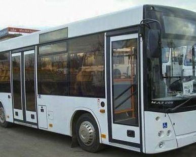 фото Автобус МАЗ 241030