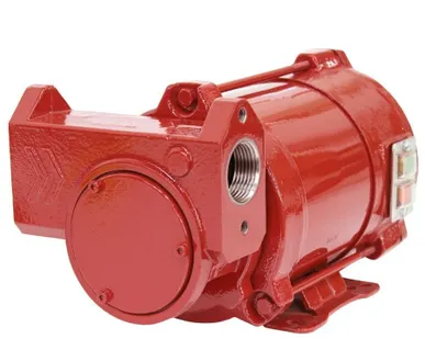 фото IRON-50 Ex 24 VDC - Самовсасывающий роторный лопастной взрывозащ-й электронасос для бензина