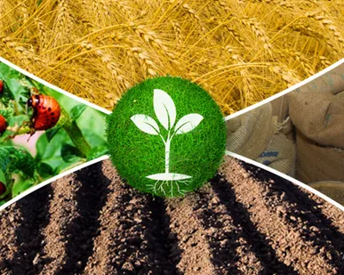 фото Покупаем Минеральные удобрения