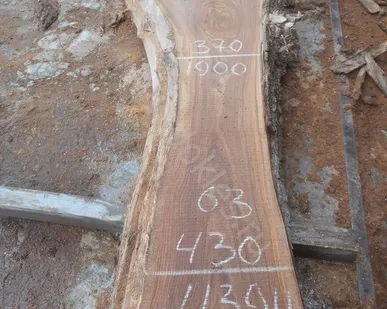 фото Слэб карагач сухой 63 мм № 1394 63х610х2500