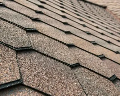 фото Мягкая черепица (кровля)