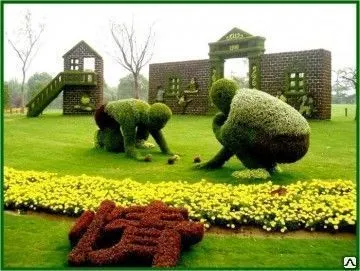 Фото №0 3D Топиарная композиция "Игра"