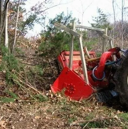 Фото №0 Мульчер навесной SEPPI Midiforst