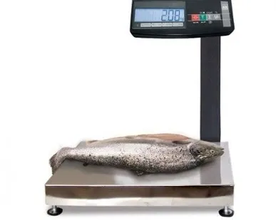 фото Весы влагозащищенные с автономным питанием МК-15.2-АВ11