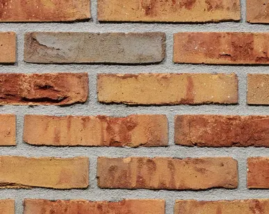 фото Кирпич облицовочный Terca Ortega Falls 210*100*50 мм