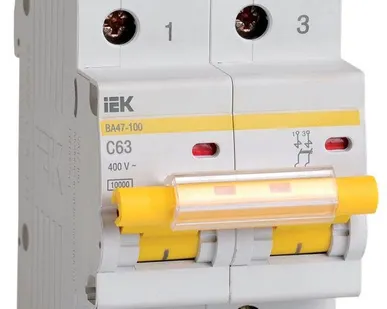 фото Выключатель автоматический модульный 2п C 63А 10кА ВА47-100 IEK MVA40-2-063-C