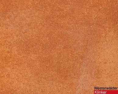 фото Клинкерная напольная плитка Westerwaelder Klinker WKS31200-CottoBraun