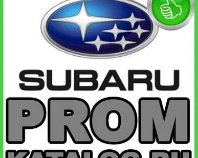 фото Вибротрамбовка электрическая  Subaru