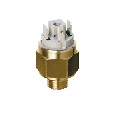 Фото №0 5062608060 - Термореле нерегулируемое, 55...65°С, G1/2", НЗ, ~250В/10А, Pmax 80 Бар