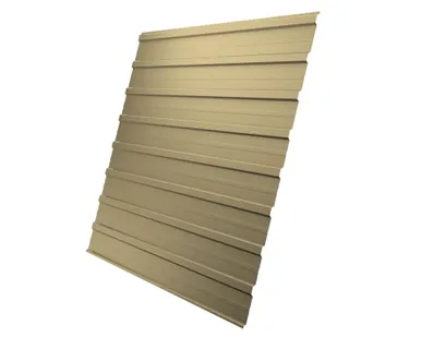 фото Профнастил С10A 0,4 PE RAL 1014 слоновая кость