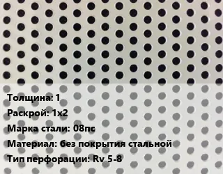 фото Лист перфорированный 1 1х2 Марка: 08пс без покрытия стальной Rv 5-8