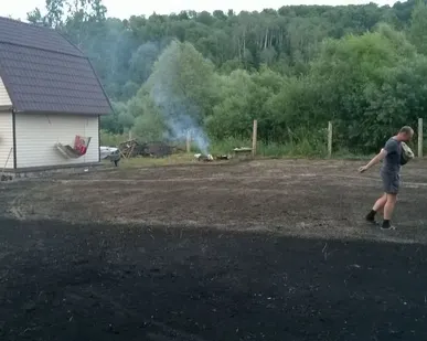 фото Устройство газона сеянного