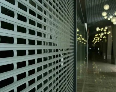 фото Роллетные решетки для витрин магазинов