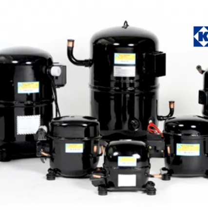 Фото №0 Компрессор KULTHORN AW 4524 EK R-22 (FH4524E)