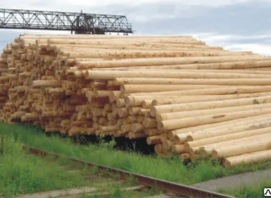 фото Деревянные опоры ЛЭП 11 м Пропитанные