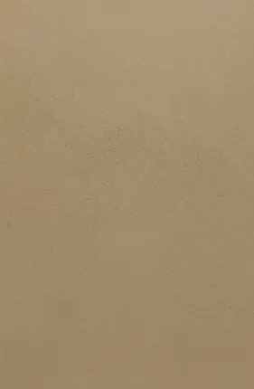 Фото №0 Лаконик