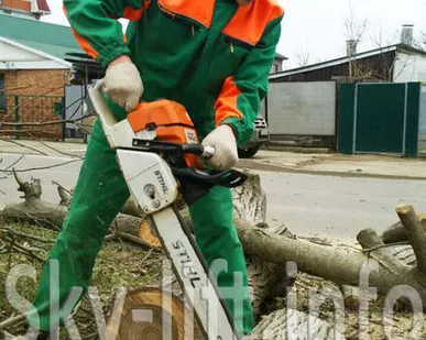 фото Спил и обрезка деревьев по городу и краю