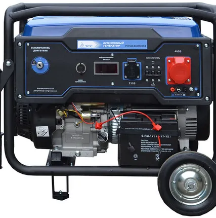 Фото №0 Бензиновый генератор TSS SGG 8000EH3NU