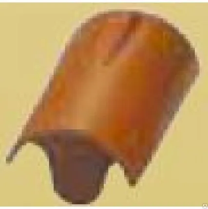 Фото №0 R10 Конечная коньковая черепица Nelskamp