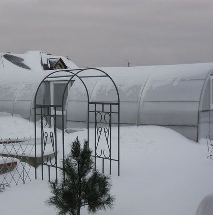 Фото №0 Зимняя теплица с двойным поликарбонатом