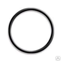 Фото №0 Кольцо уплотнительное для двустенных труб Д 250 мм