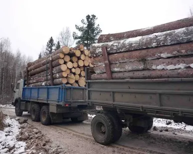 фото Кругляк хвойные породы