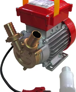фото Самовсасывающий насос с реверсом Rover 25 (BE-M 25 CE)
