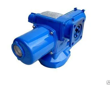 фото Электропривод ГЗ-А. 100/24