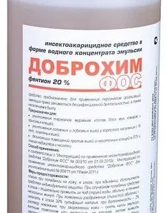 фото Травля блох