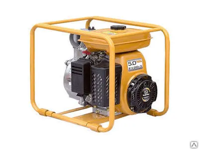 Фото №0 Мотопомпа бензиновая PTG310ST