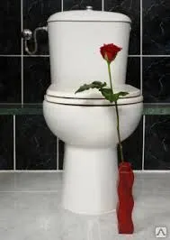 Фото №0 Установка унитазов