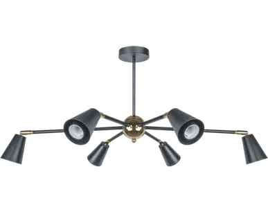 фото Светильник Navigator 80 439 NLF-C-051-01 потолочный черный, золото