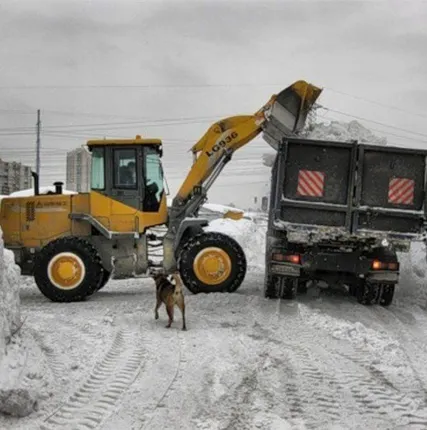 Фото №0 Аренда снегоуборочного погрузчика Амкадор 342
