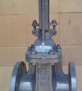 фото Задвижка стальная 30с64нж Ду 250 Ру 25