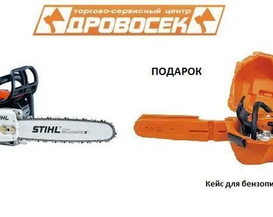 фото Бензопила Stihl MS 251