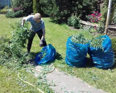 фото Услуги садовника