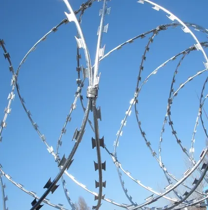 Фото №2 забор егоза