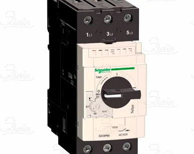 фото Автоматический выключатель защиты 65А GV3P65 Schneider Electric