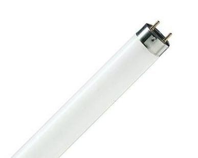 фото Люминесцентная лампа Philips TL-D 18Вт/33-640 дневного света