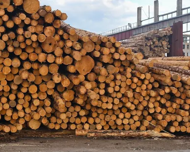 фото Продам тонкомер и баланс хвоя и береза