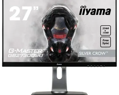 фото Монитор Iiyama G-Master