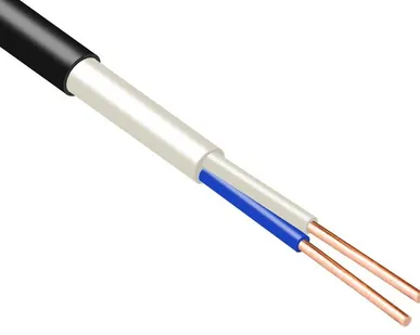 фото Кабель ВВГнг(А)-FRLS 2х1.5 ок (N) 0.66кВ (м) Промэл 13475770