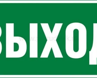 фото Знак "ВЫХОД" 200х100мм TDM