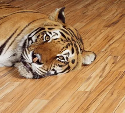 Фото №0 ПВХ плитка IVC