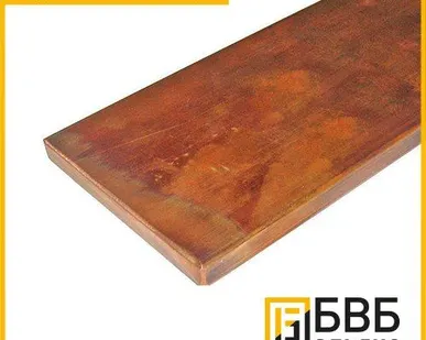 фото Шина медная М0Б 10 мм