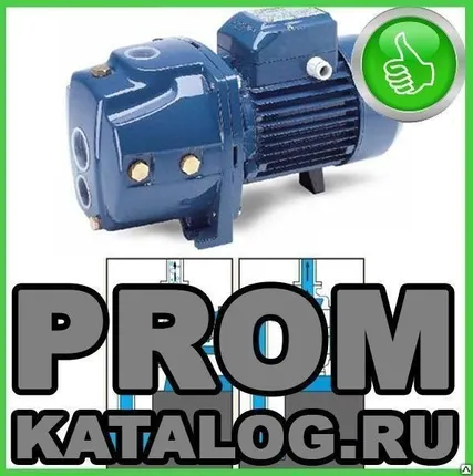 Фото №0 Насосы самовсасывающие