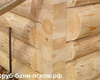 фото Сруб бани 6х5